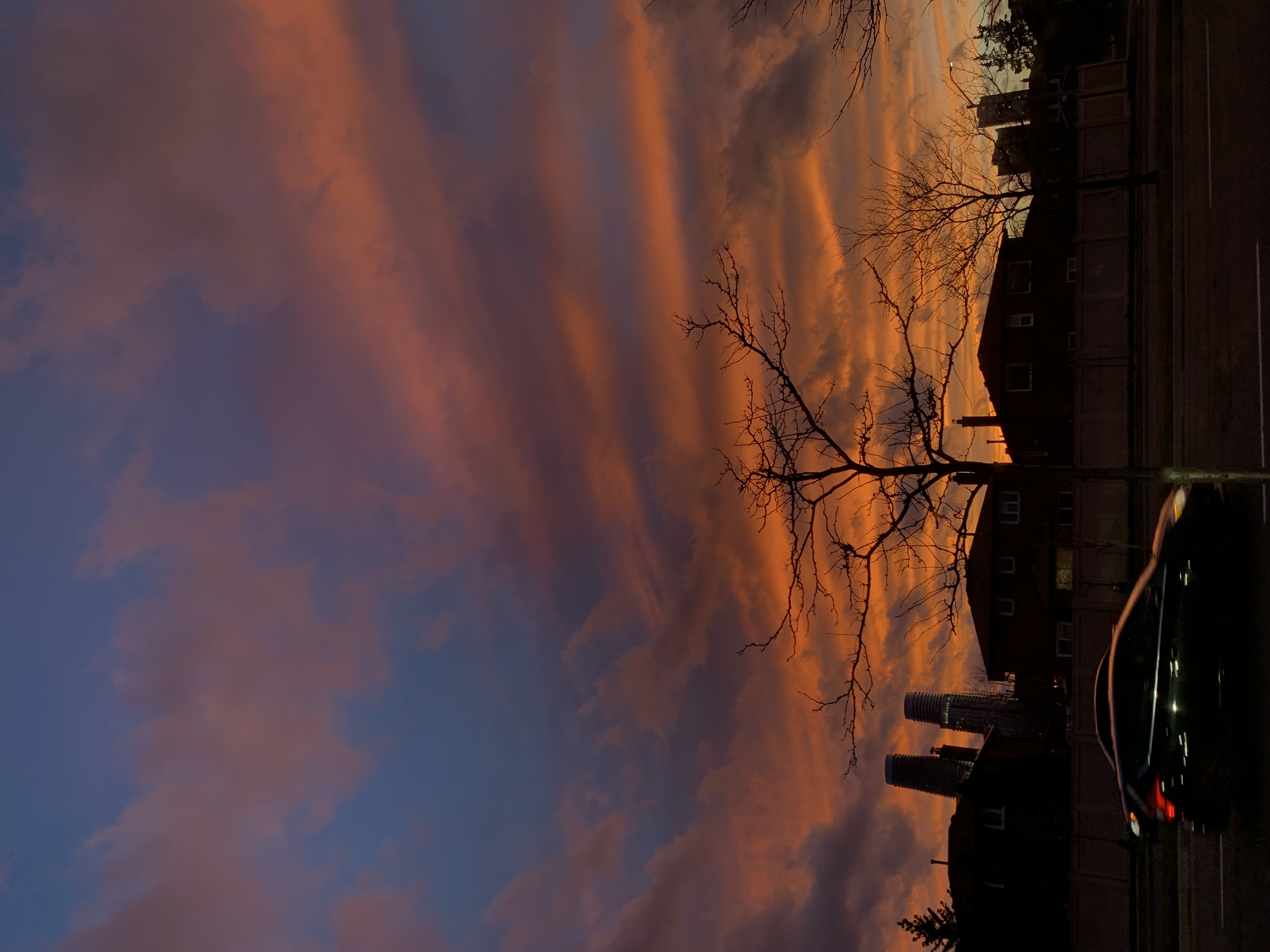 Golden hour photo 1